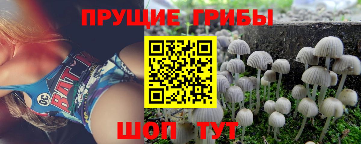 Гуково  Галлюциногенные грибы прущие грибы  Вход с VPN  Псилоцибиновые грибы мухоморы 